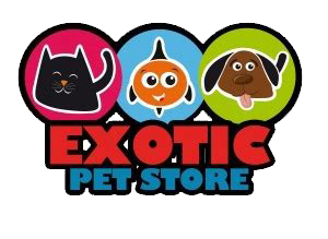 buy exotics for adoption, exotics adopt online