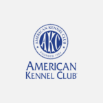 pets online monkey for sale l