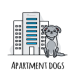 baby monkey for sale