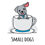 healthy pet mobkeys for sale